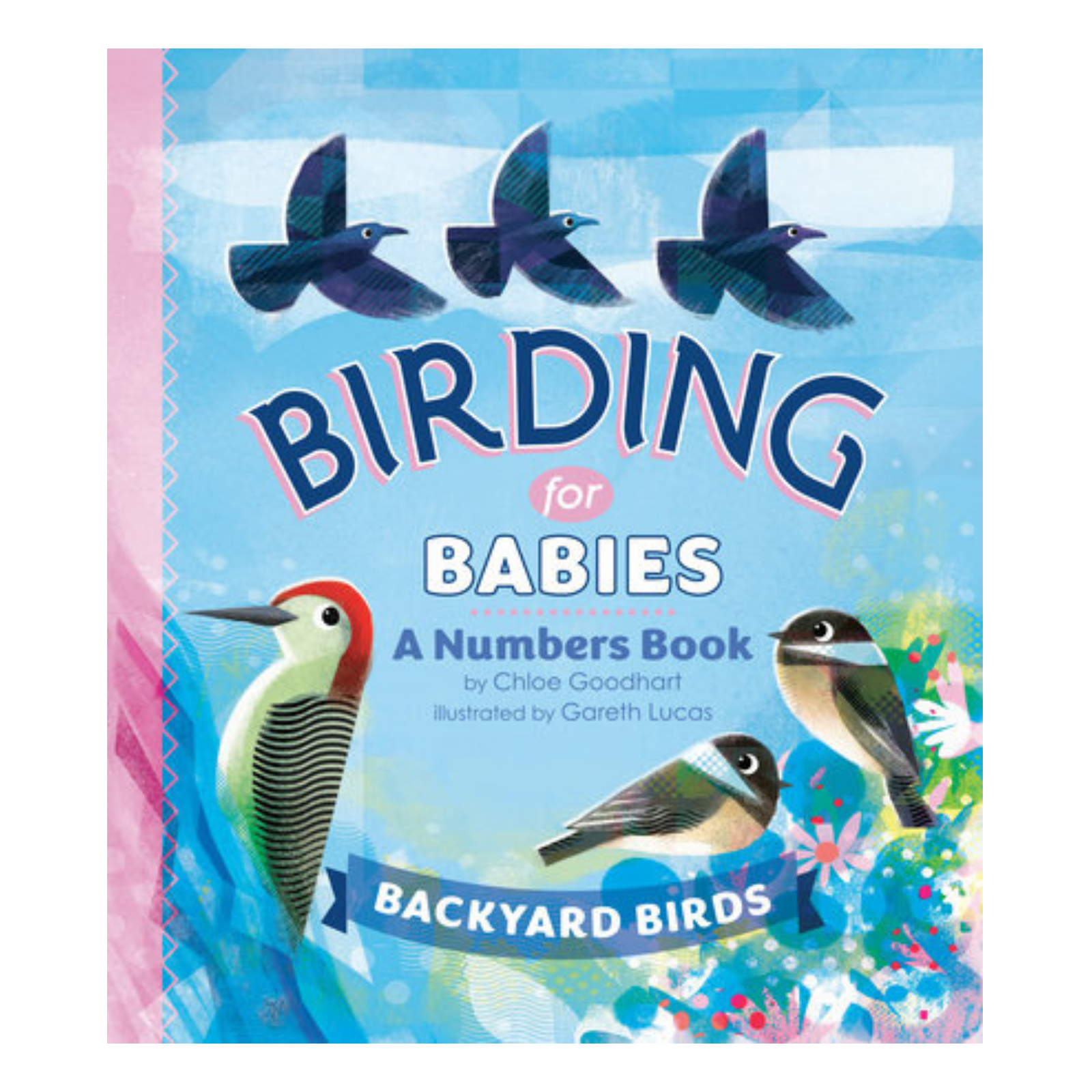 'Birding For Babies' Backyard Birds Book - A Numbers Book